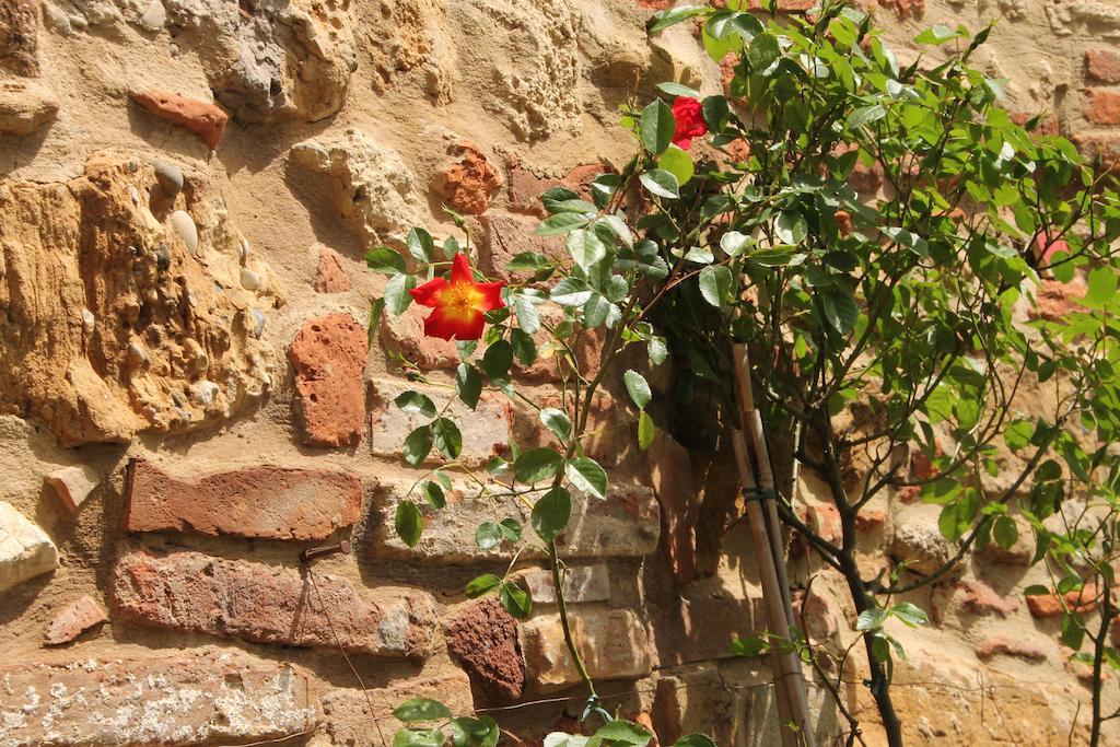 La Corte Segreta Montepulciano Stazione エクステリア 写真